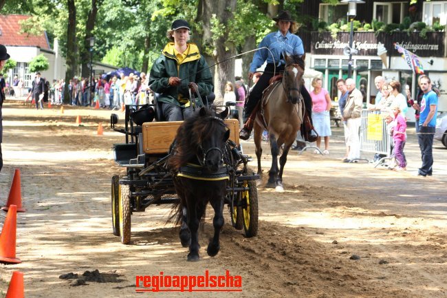 Regio Appelscha